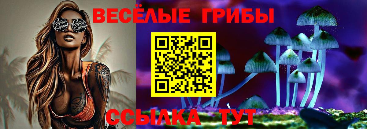 купить   Вход с VPN  Псилоцибиновые грибы прущие грибы  Донецк  Псилоцибиновые грибы Psilocybine cubensis 